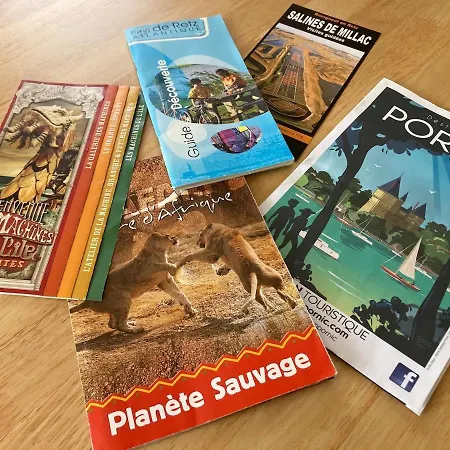 Vue Panoramique Marais Breton, 900 M Ocean, Superbe T2 Avec Terrasse * Villeneuve-en-Retz