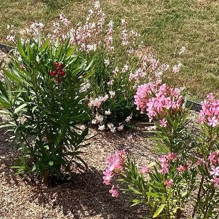 Апартаменты Vue Panoramique Marais Breton, 900 M Ocean, Superbe T2 Avec Terrasse