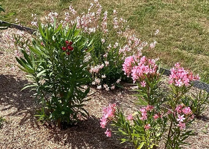Apartamento Vue Panoramique Marais Breton, 900 M Océan, Superbe T2 Avec Terrasse